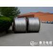 求購湘西裸電線 品質源于自然，信賴鑄就品牌